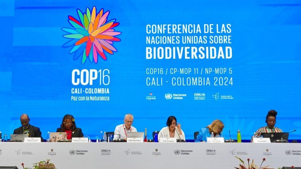 cop 16