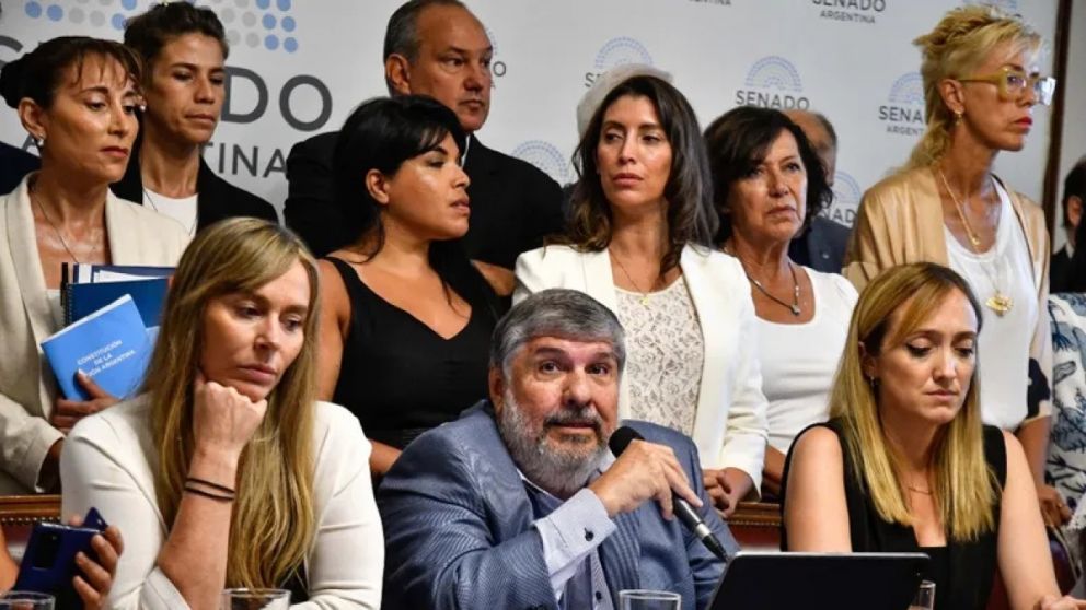 De cara al debate en el Senado, el oficialismo se entusisma con el apoyo del peronismo para suspender las PASO