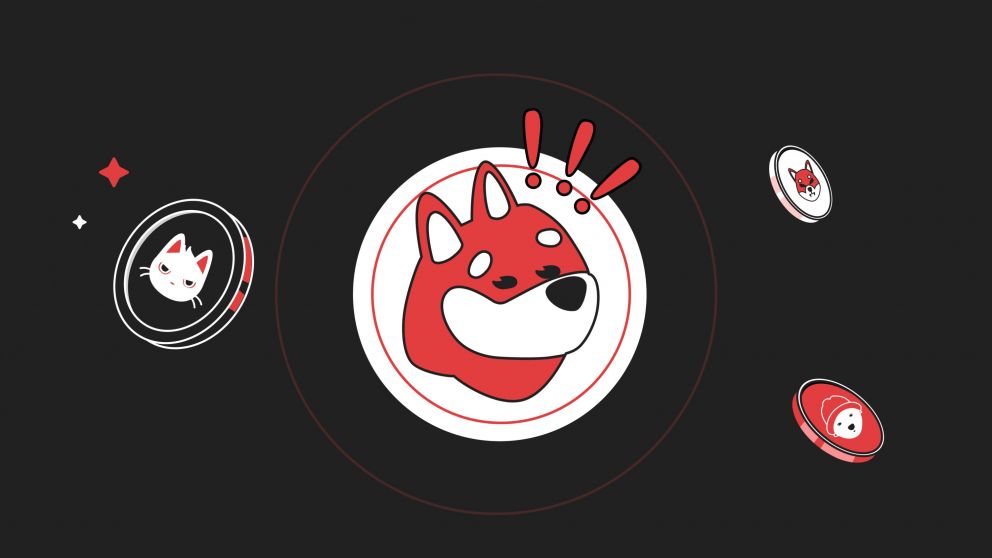 Qué es una memecoin, cómo funciona y cuáles son los riesgos