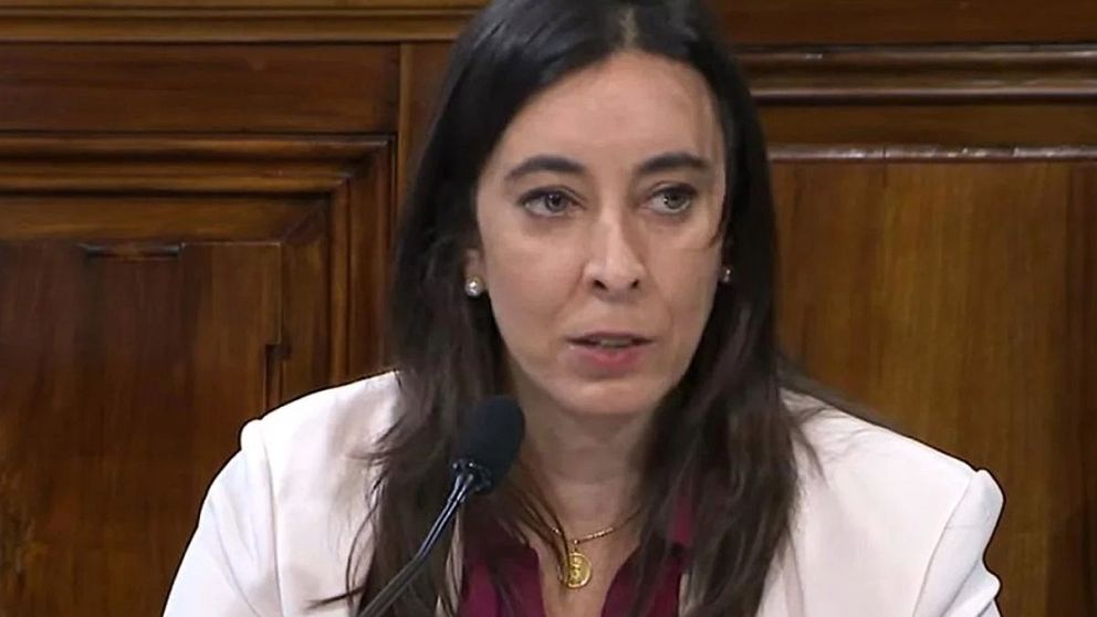 Javier Milei le pidi� la renuncia a Sonia Cavallo, embajadora argentina ante la OEA