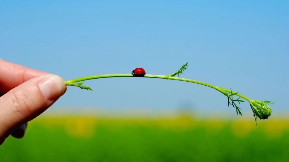 Hay mucho en nuestro entorno de lo que podemos disfrutar.