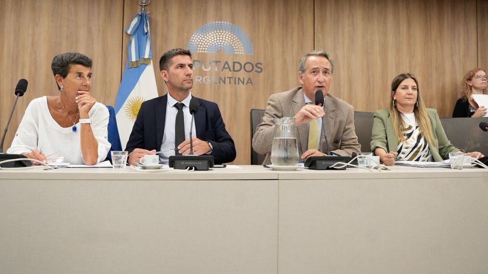 Diputados dictaminó Ficha Limpia otra vez