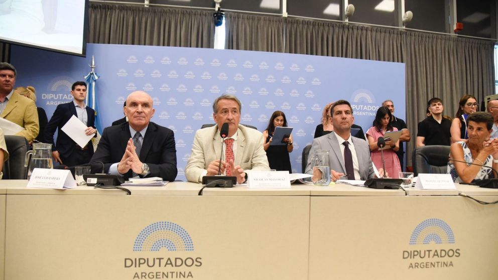 Con ayuda del peronismo, La Libertad Avanza emitió dictamen del proyecto de suspensión de las PASO