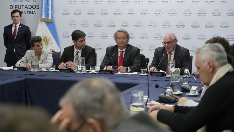 El plenario de comisiones buscará acordar un dictamen sobre Ficha Limpia