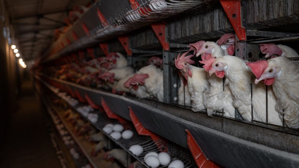 Reflexiona sobre la industria