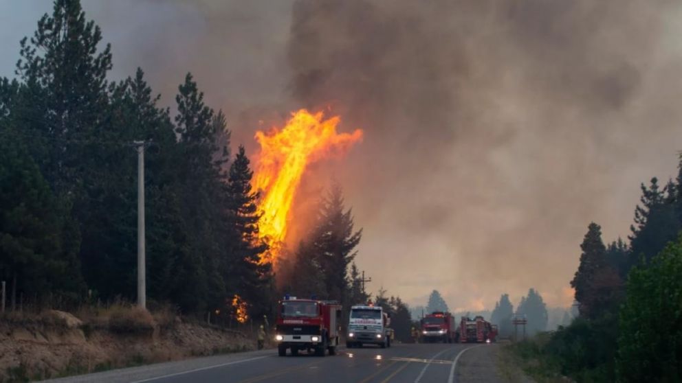 Los bomberos aseguraron que la situaci�n es complicad�sima para los vecinos, los animales, la flora y la fauna