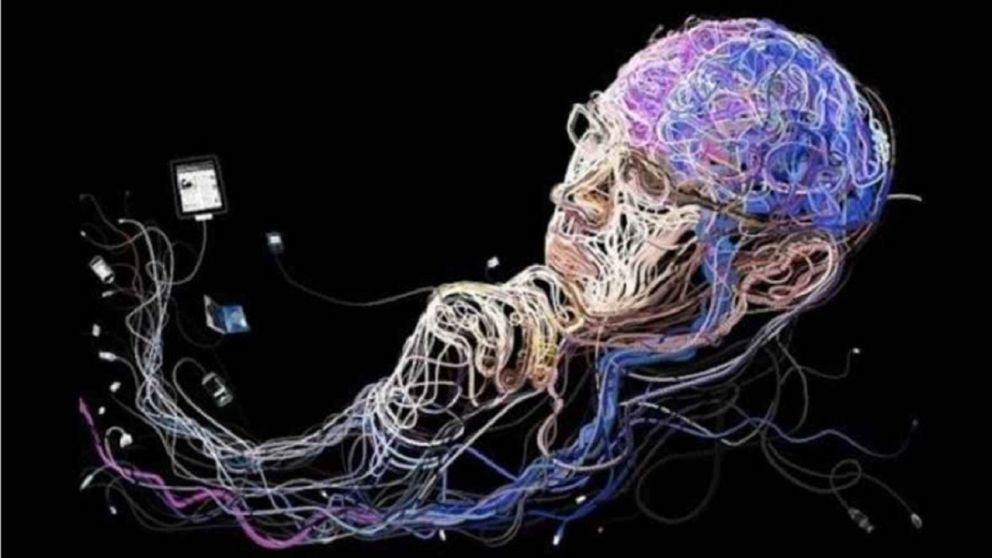 Estudios recientes pudieron determinar que el envejecimiento cerebral no es uniforme