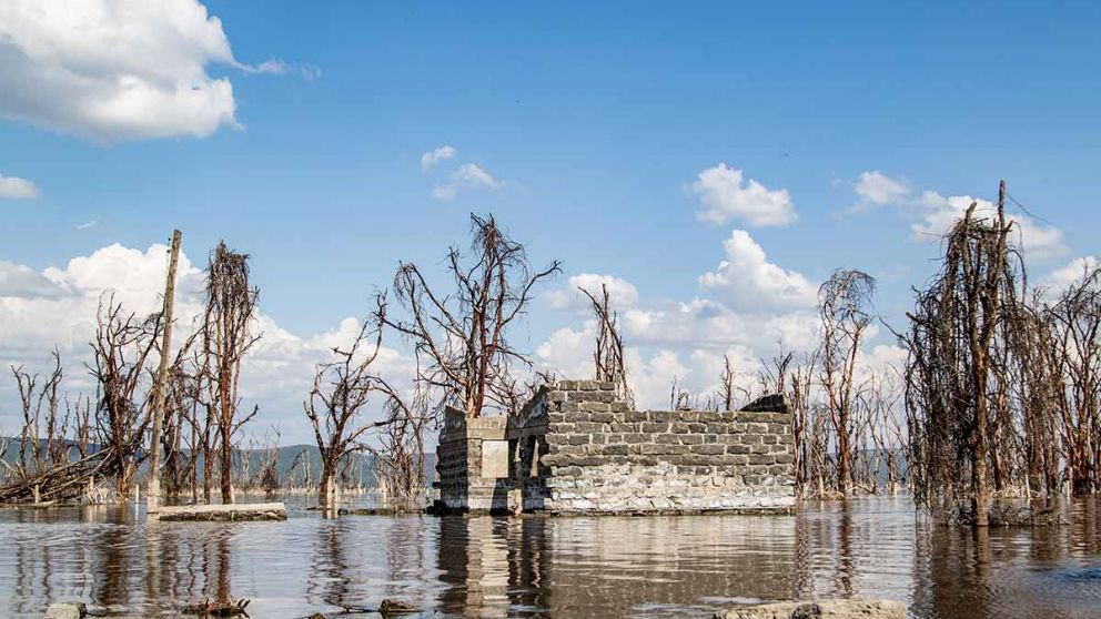 Efectos del cambio clim�tico en Argentina