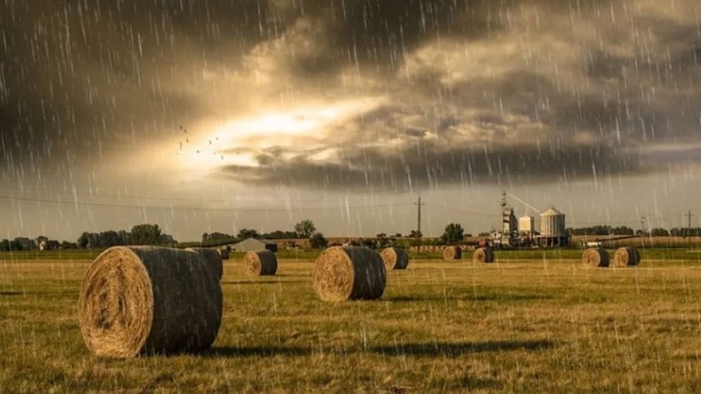 Las lluvias superaron las expectativas y brindaron un respiro