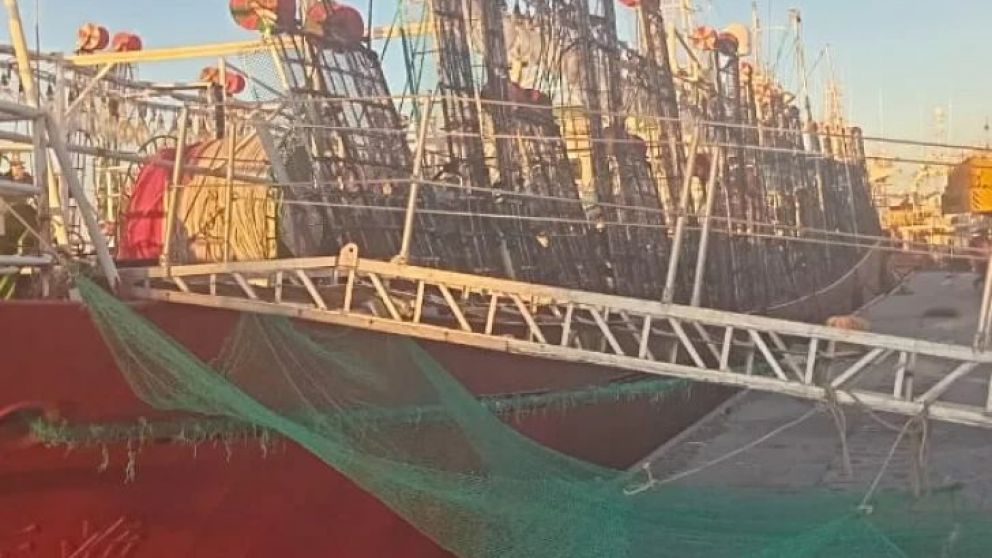 Tres buques en total hicieron ingreso a rada este viernes. Le dieron trabajo a más de 200 estibadores en los distintos turnos. El calamar, en su gran mayoría, queda en cámara o contenedores para su exportación directa