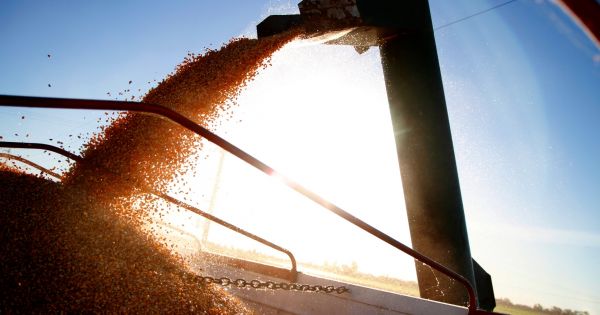 Superávit cambiario de USD 1.333 M en abril: análisis y contexto