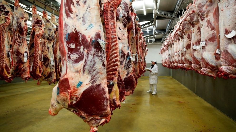 Consumo: crece la oferta de media res familiar para abaratar costos