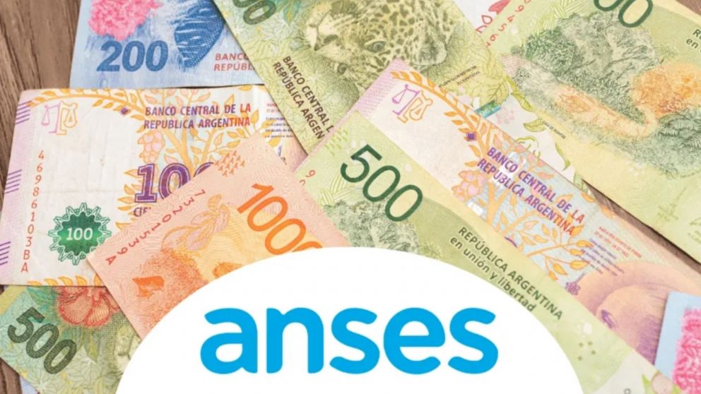 Este beneficio de Anses es para titulares de SUAF y AUH