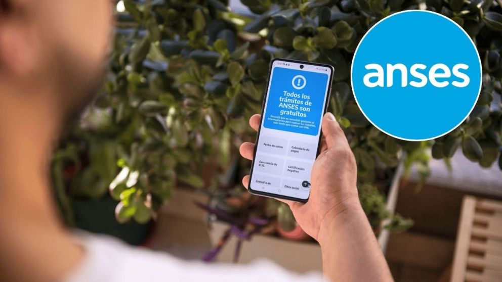 Mirá cómo obtener la constancia de CUIL en Anses