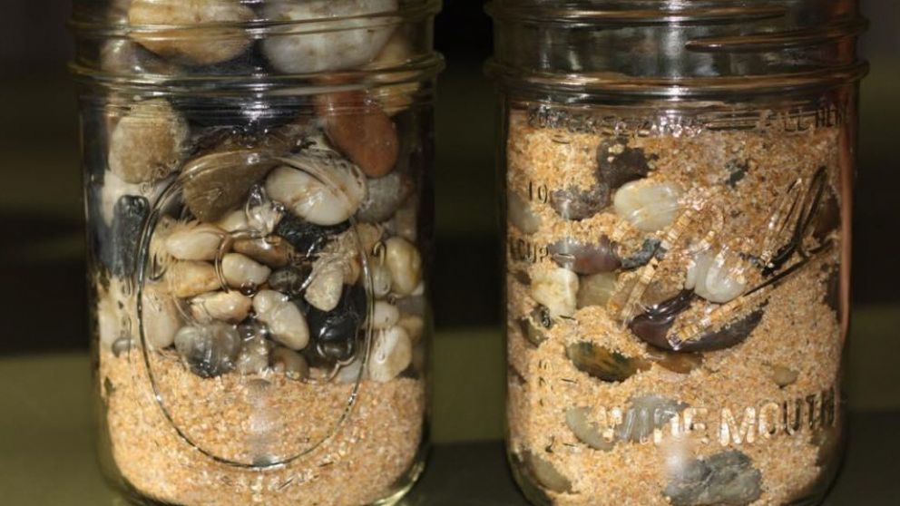 Cuando uno tiene por fin muy claro lo que desea, la aventura de la vida se pone en marcha de nuevo.