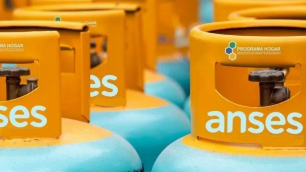 Cómo saber si recibo el Programa Hogar de Anses