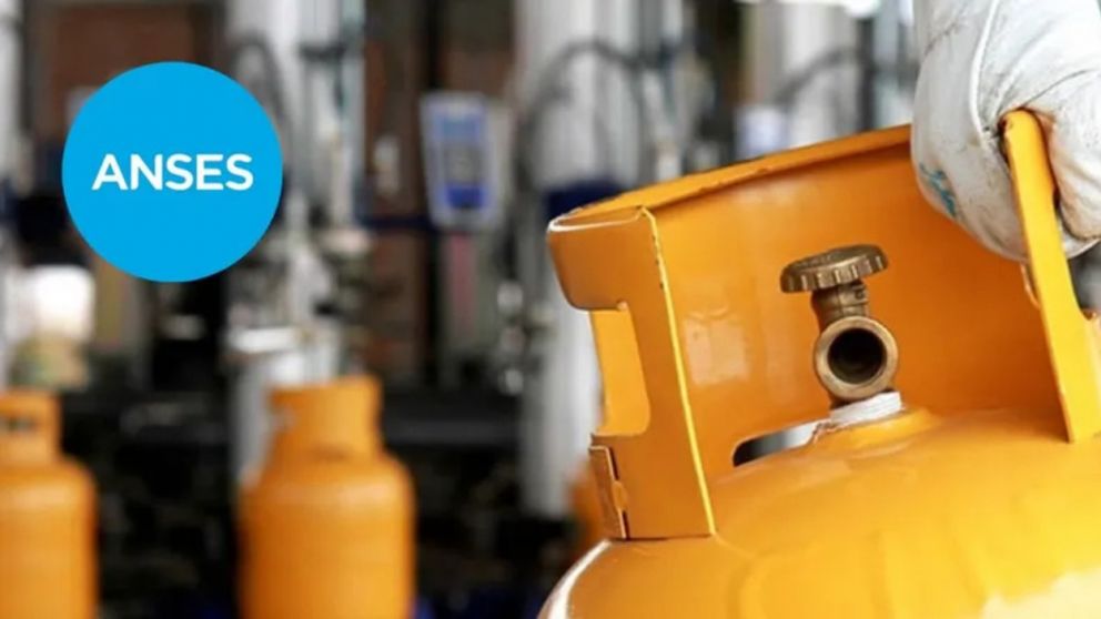 Conoc� si te corresponde el Programa Hogar en noviembre