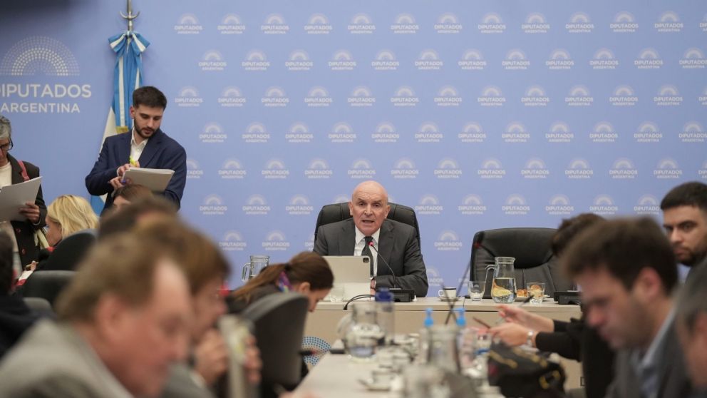 El diputado libertario José Luis Espert preside la Comisión de Presupuesto y Hacienda de la Cámara baja. (Archivo).