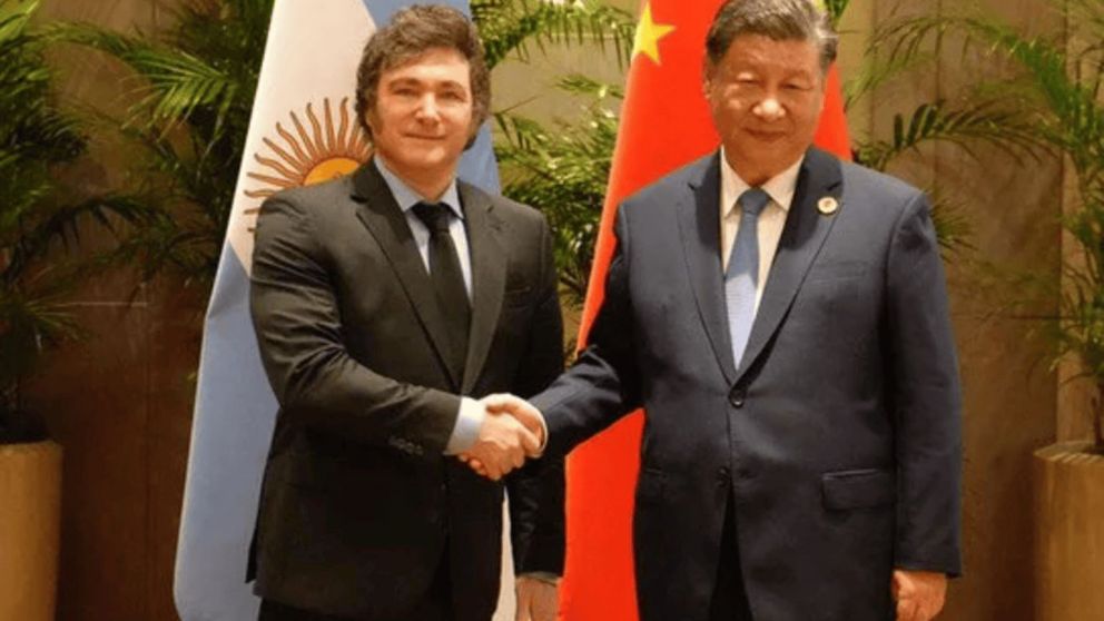 Milei public� en sus redes la foto con Xi Jinping