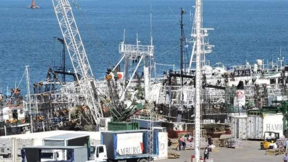 Cuando el mal trago del buque mercante de transporte, que partió sin carga, no se terminó de digerir, el gremio de los estibadores volvió a realizar otra medida extrema. El tema no pasó por alto y todos los actores reaccionaron. ¿Deseado en jaque por "vi