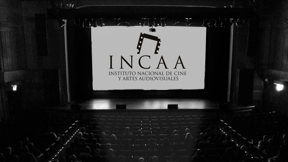 Reforma laboral: postergan hasta 2028 la eliminaci�n del financiamiento del INCAA.