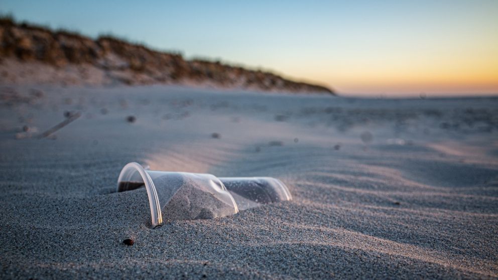 La basura plástica, uno de los desafíos ambientales