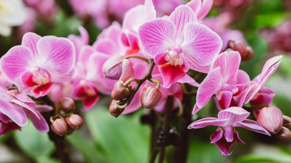 Ser uno mismo es un arte para el que no hay manuales ni fórmulas secretas