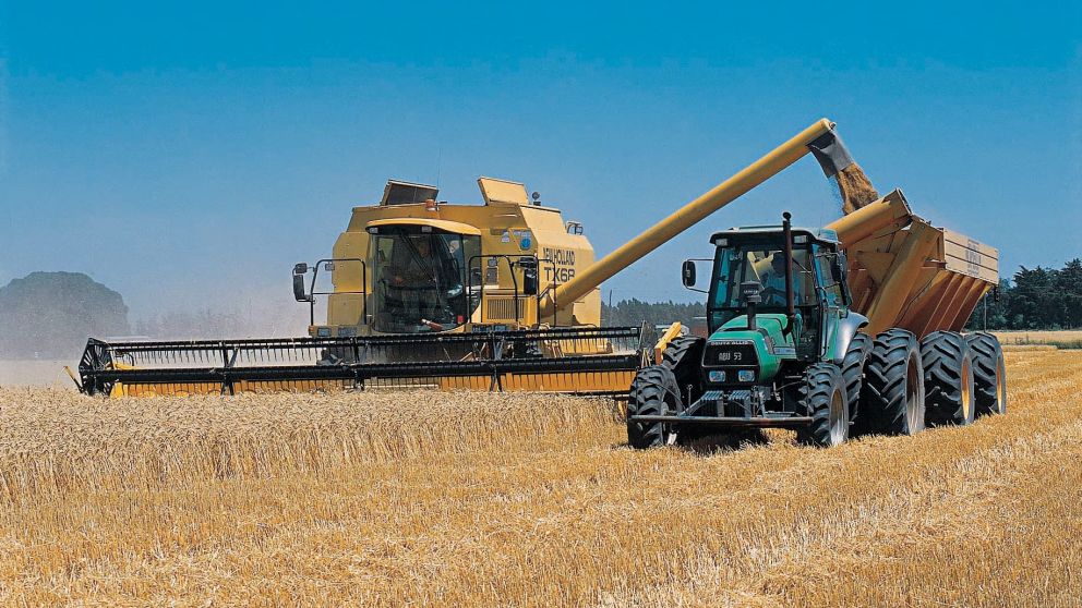 Cotización del dólar en Julio tras las medidas: qué harán los exportadores del agro