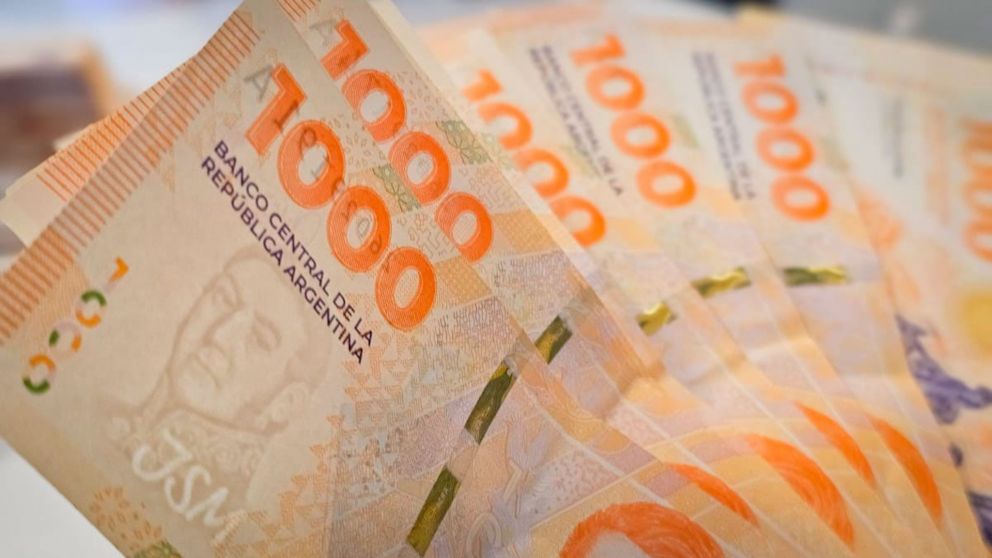 �Cu�ndo cobro el mini bono de la Anses?