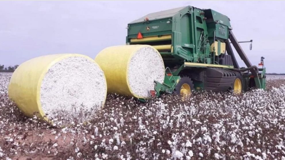 Exportaciones de las econom�as regionales argentinas crecieron un 29,1% en d�lares y 26,5% en toneladas