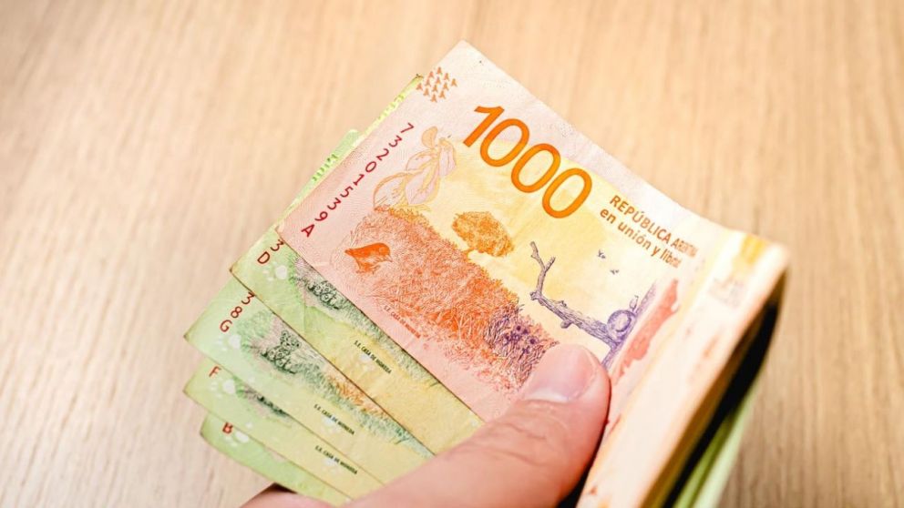 JUBILADOS de ANSES: ¿cuánto cobrarán en noviembre?