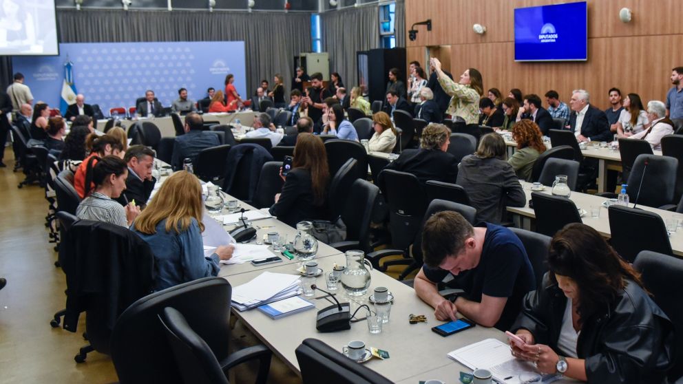 Diputados comenzó el debate para modificar la ley de DNU