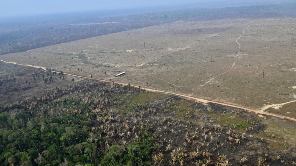 Entre 1990 y 2020, se estima que se perdieron más de 420 millones de hectáreas de bosque