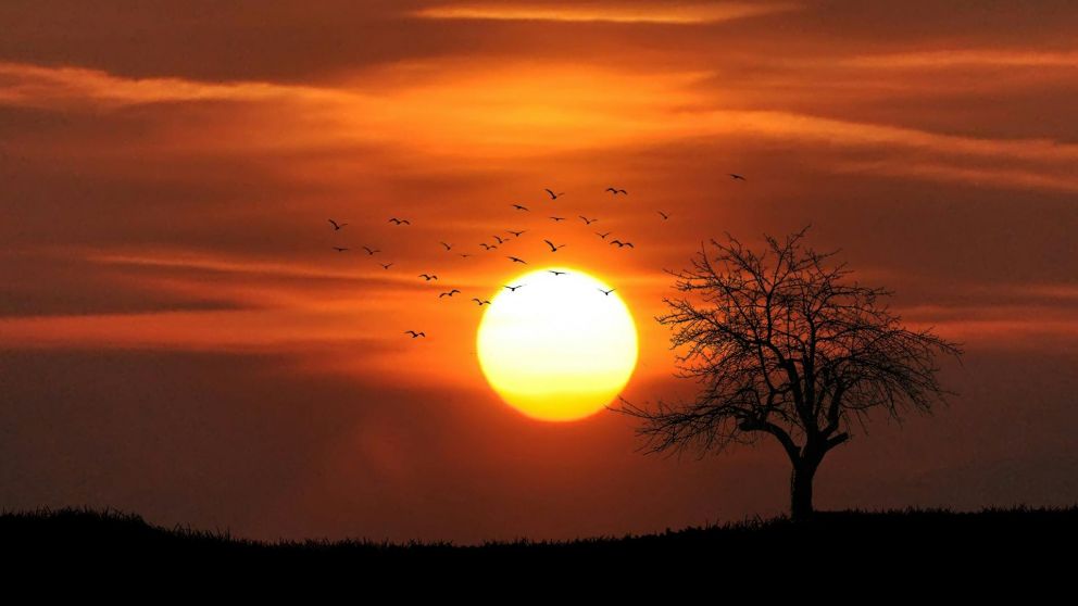 Las olas de calor no son solo en Argentina