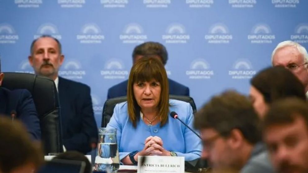 Bullrich impulsó la iniciativa