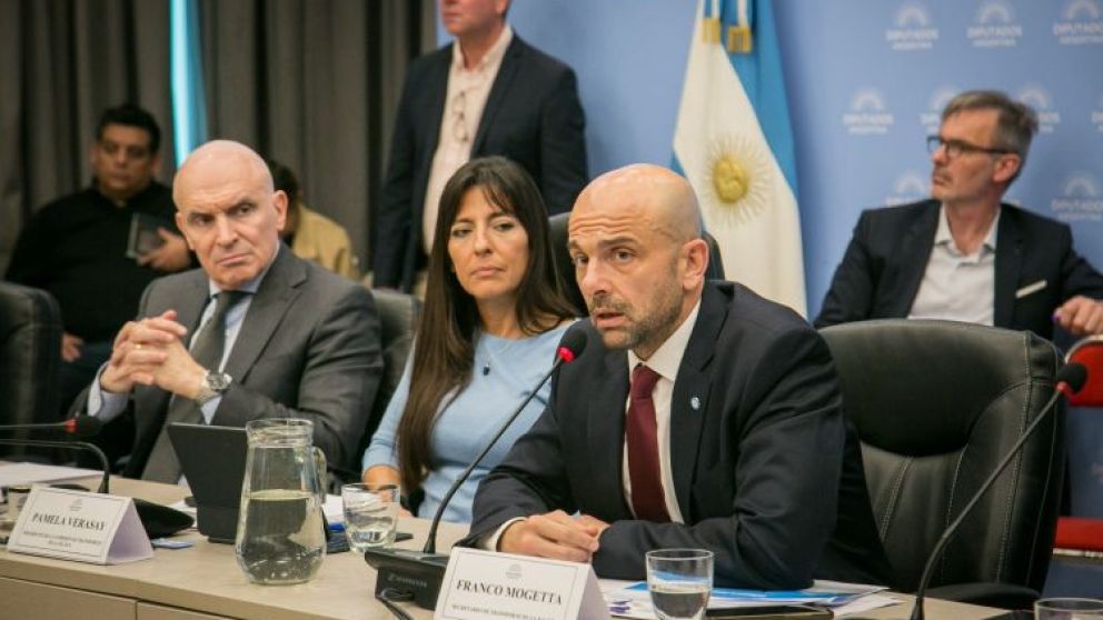 Franco Mogetta,  secretario de Transporte, defendi� la decisi�n por Aerolineas