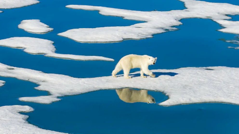 La crisis climática es severa, y en unos años podría quedarse sin hielo