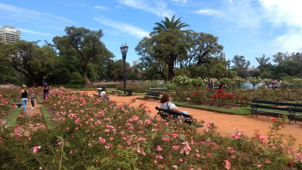 Clima en CABA y la provincia de Buenos Aires: mirá el pronóstico extendido