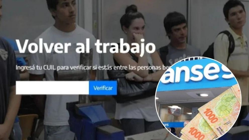Un requisito clave cambiará en octubre para los titulares de Volver al Trabajo