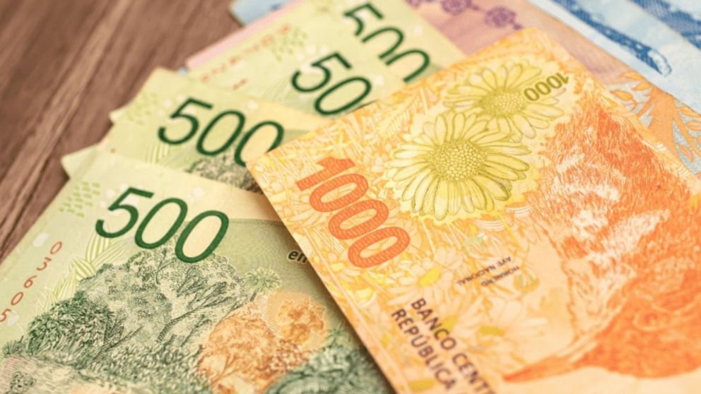 El beneficio otorga un monto equivalente al Salario M�nimo, Vital y M�vil por 6 meses consecutivos