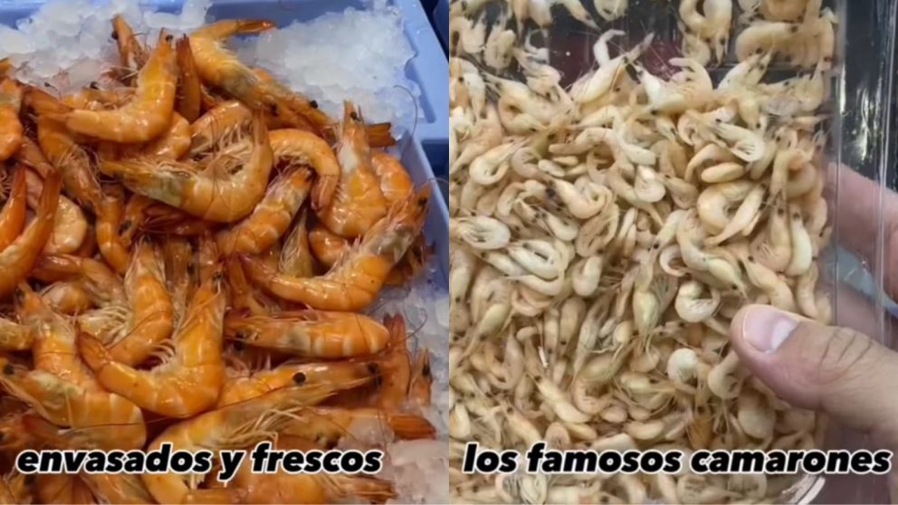 Langostinos y aluminio: apuesta oficial para mejorar las exportaciones