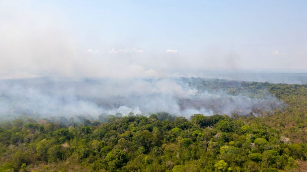 El daño social involucra daños por deforestación, quemas ilegales y aplicación de pesticidas, entre otros