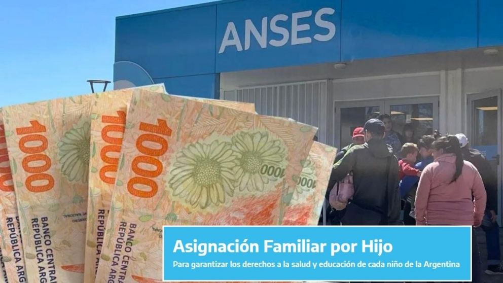 Mirá cuánto vas a cobrar en octubre