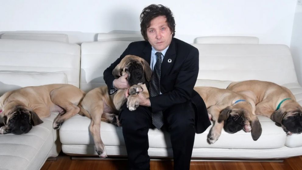 Javier Milei recibirá en Olivos a los 87 diputados que respaldaron el veto presidencial a la movilidad jubilatoria