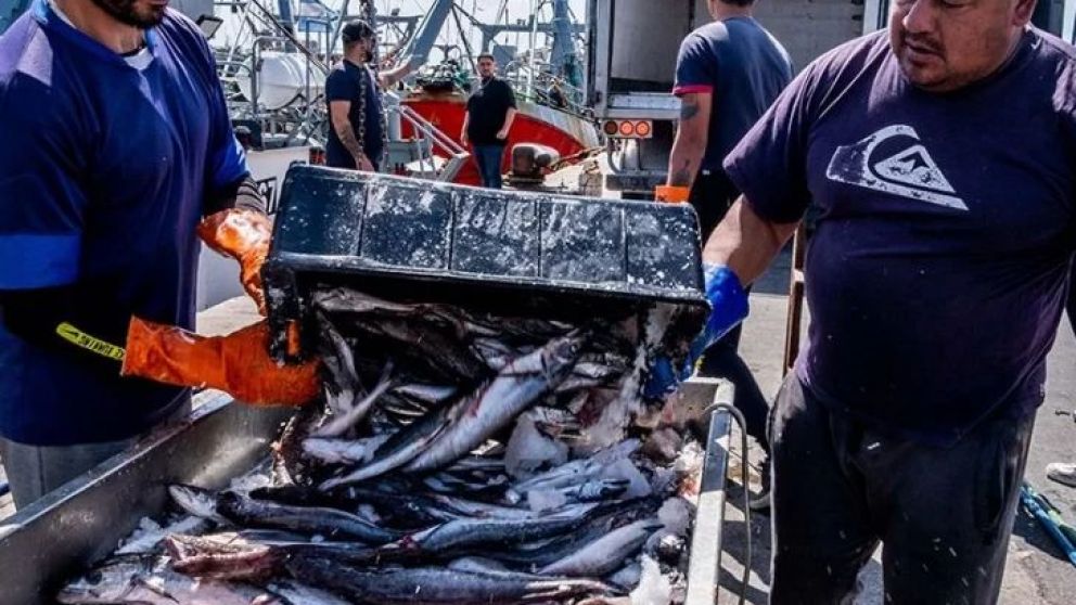 El diputado marplatense Gustavo Pulti se presentó a la Justicia: denunció a funcionarios nacionales. ¿Por qué la pesquera Iberconsa recurrió a la Embajada de Estados Unidos? El negocio detrás de las sospechas. ¿Cómo impacta en los puertos de Mar del Plat