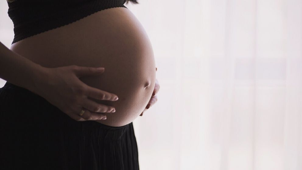 Un estudio en ratones da esperanza para madres en edad avanzada