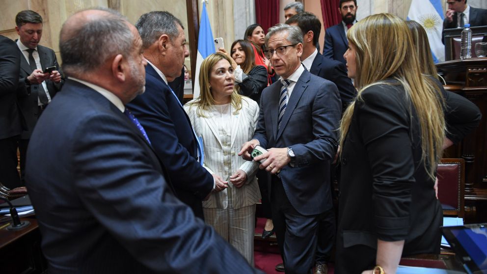 Vischi, Ávila y el PRO: dialoguistas se dividen en la sesión, tras la foto con Milei