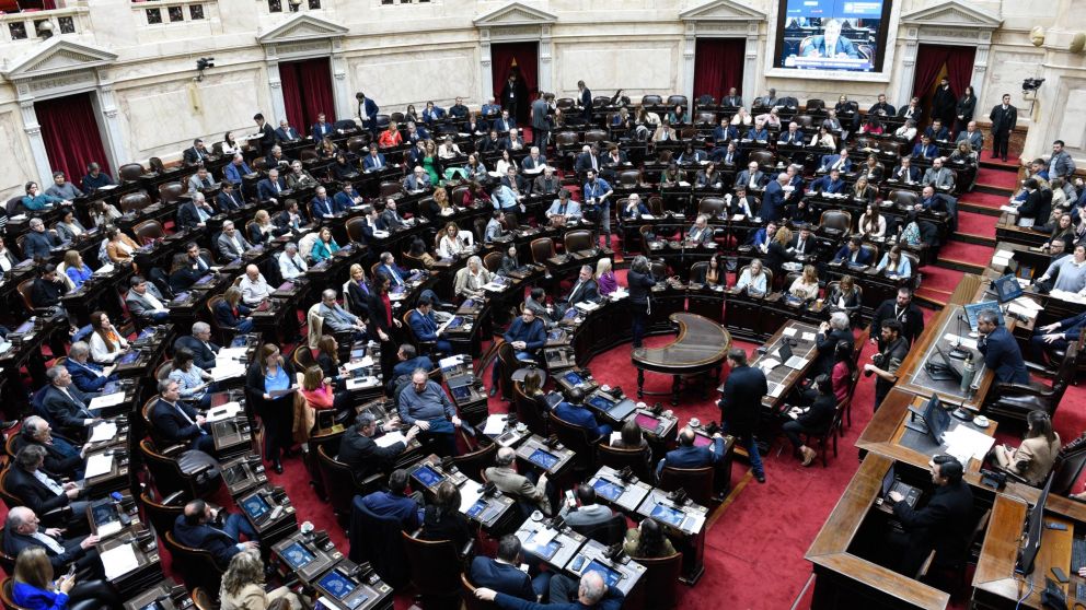 Diputados opositores pidieron una sesión especial para rechazar el veto de Milei