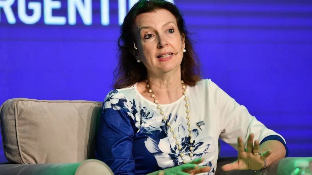 Diana Mondino estuvo en la reunión del Consejo Permanente de la OEA y votó para que Venezuela entregue las actas de votación