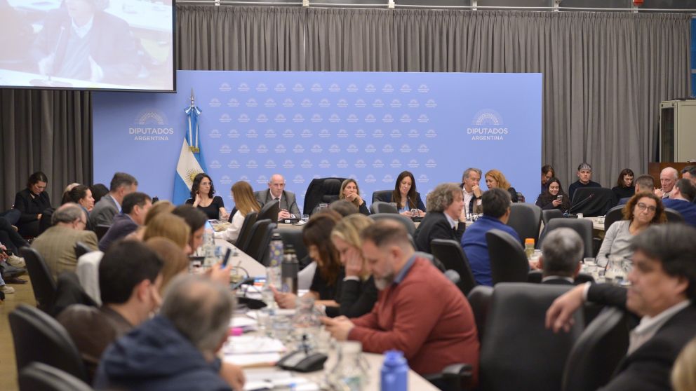 Visita a represores: los 6 diputados de LLA serán convocados a exponer en el plenario de comisiones